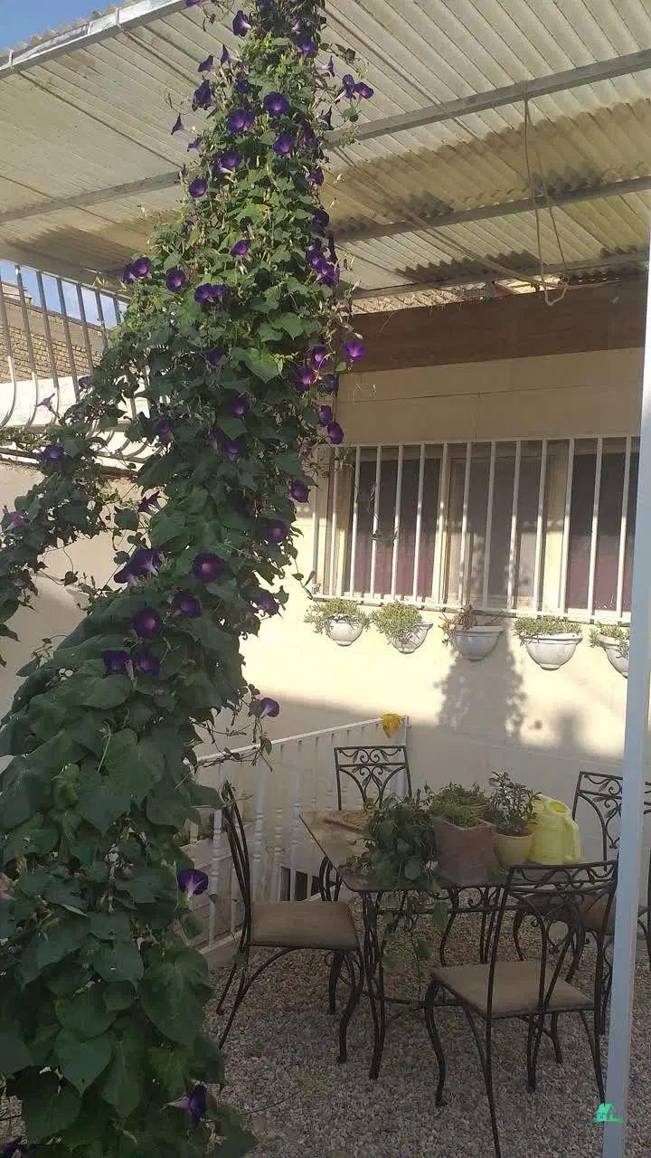 کد14192 (خانه ویلایی ارتفاع دار برخیابان حکیم شفایی اول)