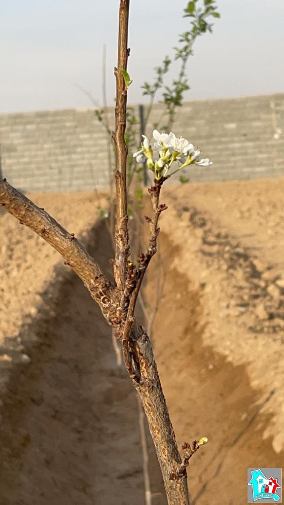 کد 7496(فروش باغ روستای حتم آباد)