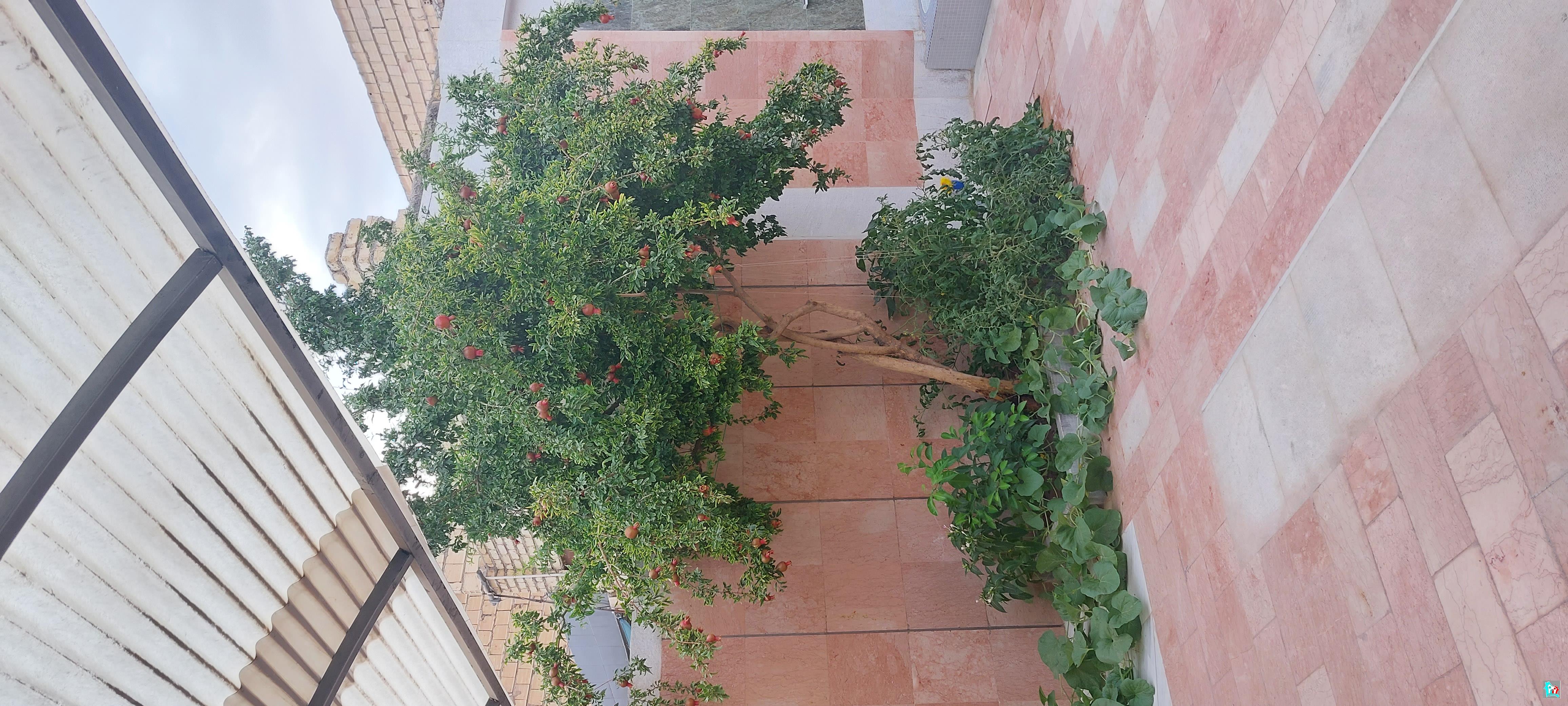 کد7197 (خانه ویلایی دوبلکس خیابان هفتون)