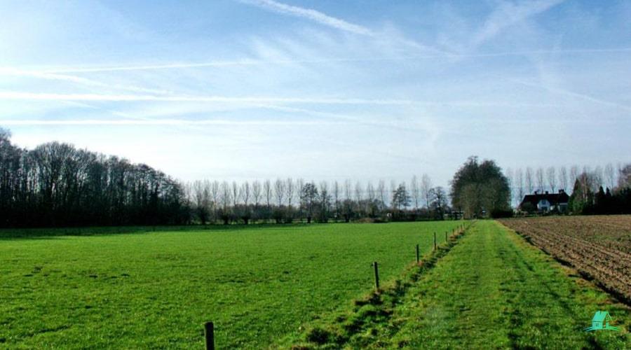 کد14081 (فروش زمین های باغی 2000 متر به بالا خیابان معراج)