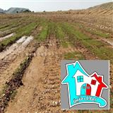 کد7445 (فروش زمین سنددار پل تمدن خیابان شهید خوزانی)