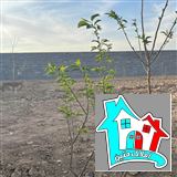 کد 7496(فروش باغ روستای حتم آباد)