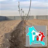 کد 7496(فروش باغ روستای حتم آباد)